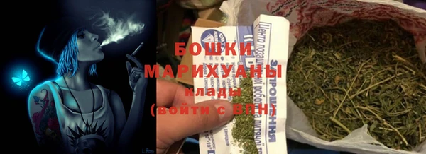 СК Медвежьегорск