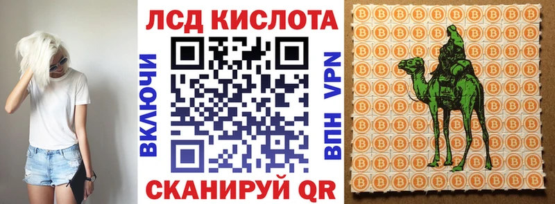 дарнет шоп  Нестеровская  Наркотические марки 1500мкг 
